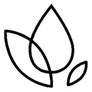 Lifestyle Supplements logo